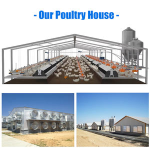 Pluimveehouderij Volledig Automatisch Voersysteem Kippenvoederbak Systeem voor Broilerkippenstal - Product Image 2