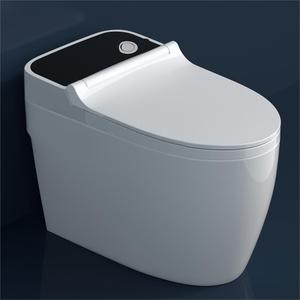Гостиничный туалет без электричества, унитаз с биде - Product Image 1
