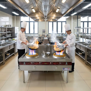 Cuisinière à gaz commerciale à 2 brûleurs, double moteur de ventilation, 240W, en acier inoxydable, gaz naturel/GPL, pour cantine, <span class=keywords><strong>restaurant</strong></span>, facile à utiliser, longue durée de vie - Product Image 6