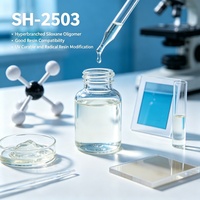 Oligomère de siloxane hyperbranqué SH-2503 pour modificateur de composite de résine à radical libre