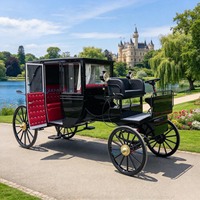 Calèche royale électrique noire personnalisée avec intérieur rouge, style vintage, pour visites touristiques et mariages en lieux panoramiques