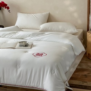 Aolei Wedding <b>Quilt</b> Tencel Cotton Embroidered 4-5 Jin Four Seasons Home Use - Product Image 4