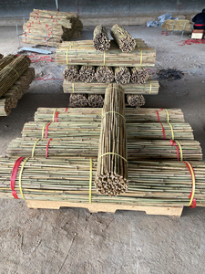Agricultural Bamboo Stakes Plant Support Sticks Natural Dried Long Lasting Branch Fumigated Vietnam Wholesale Supplier <b>Pole</b> - Product Image 6