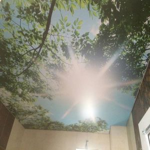 15年保修家用背光轻型聚氯乙烯悬挂假天花板树木拉伸天花板设计卧室 - Product Image 3