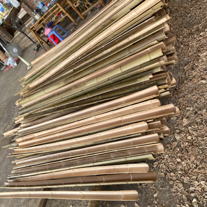 Tube de bambou entier fait main de 2100cm x 2.1m de diamètre pour des projets d'aménagement paysager de jardin - Product Image 2