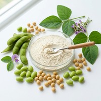 Poudre d'extrait de soja naturelle non-OGM de qualité alimentaire 40% 80% Isoflavones de soja Emballée sous vide en bouteille/fût