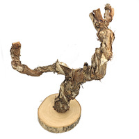 Perchoir à griffes en écorce de vigne naturelle pour perroquets, support durable pour le nettoyage des griffes, avec base, pour calopsites, perruches, décoration de cage