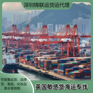 Logistique de fret de Shenzhen : Ligne dédiée Royaume-Uni pour trotteurs pour bébés, expédition maritime porte-à-porte avec dédouanement - Product Image 2