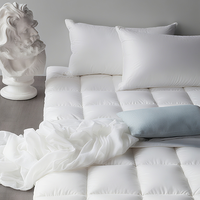 Surmatelas en coton de style hôtel 5 étoiles, épaissi, chaud, respirant, lavable, anti-acariens, antibactérien, usage hospitalier
