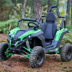 Karting électrique 1200-<span class=keywords><strong>1500W</strong></span> <span class=keywords><strong>Quad</strong></span> Bike Buggy à vendre - Product Image 2