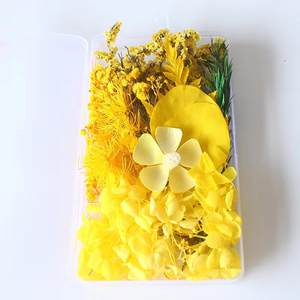 Vente en gros Mini fleurs séchées mélangées Eucalyptus naturel multicolore Matériaux séchés en vrac Petit emballage déco - Product Image 6