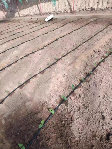 Système d'irrigation goutte-à-goutte souterrain moderne en HDPE avec émetteur plat de 16 mm et 22 mm, avec connecteurs et raccords pour rouleaux de 3000 m, 1 tuyau HDPE - Product Image 4