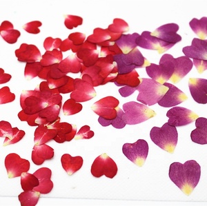 20pcs/bag Real <strong>Dried</strong> Pressed Flower China Rose <strong>Petal</strong> for Nail Art DIY Craft - Product Image 1
