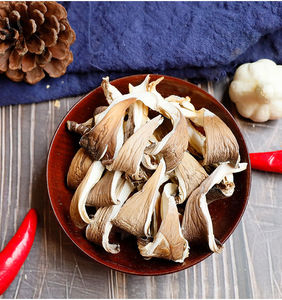 เห็ดนางรมแห้ง Pleurotus eryngii ทั้งเชื้อรากินได้อาหารที่ปลูกสดใหม่ - Product Image 6