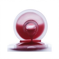 Complément alimentaire en marque blanche fabriqué en Corée K-Beauty, vente en gros OEM, qualité supérieure, ingrédients naturels, longue durée, non toxique, pour les ongles