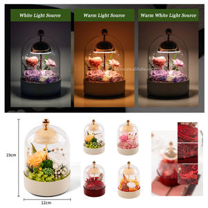Fleurs conservées dans un dôme abat-jour en <span class=keywords><strong>verre</strong></span> amovible Dimmable Led <span class=keywords><strong>lampe</strong></span> <span class=keywords><strong>de</strong></span> Table pour la décoration intérieure charge <span class=keywords><strong>lampe</strong></span> <span class=keywords><strong>de</strong></span> Table fleur éternelle - Product Image 3