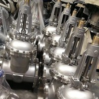 Válvula de Compuerta Industrial Profesional de Acero Fundido con Vástago Ascendente, Sello Metal a Metal y Acabado de Acero Inoxidable 316