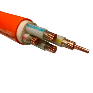 สายไฟฟ้าหุ้มฉนวนแร่ธาตุอินทรีย์แกนทอ<span class=keywords><strong>ง</strong></span>แด<span class=keywords><strong>ง</strong></span> หุ้มด้วยทอ<span class=keywords><strong>ง</strong></span>แด<span class=keywords><strong>ง</strong></span> ทนไฟ แบบยืดหยุ่น NG-A 0.6/1KV - Product Image 2