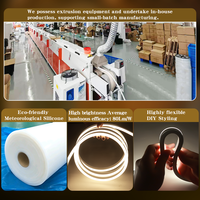 Muestra Gratuita de Luz de Neón de Alta Calidad con Certificación UL, CE, RoHS, Tira de Luz LED de Neón Flexible Blanca de 24V 12V Personalizable de Silicona