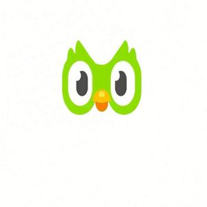 Compte Premium Duolingo Pro Edu 1 an Applicable dans le monde entier Activez votre propre compte - Product Image 2