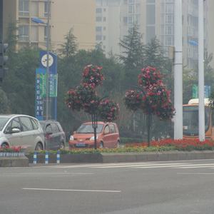 Pot de fleurs hydroponique vertical écologique - Product Image 6