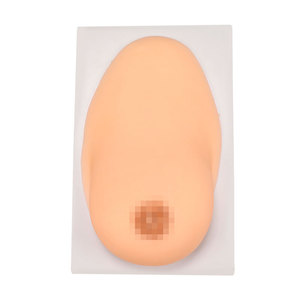 Science médicale Silicone Massage du sein et modèle d'allaitement pour la période d'allaitement - Product Image 1