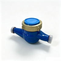 Durable Brass Casing Water Meter with High Accuracy Measurement