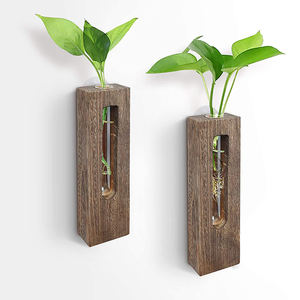 กระถางปลูกต้นไม้แก้วแบบแขวนผนังแนวเรโทร,แจกันหน่อดอกไม้ท่อทดสอบไม้เนื้อแข็งแจกันปลูกต้นไม้ในขวดแก้วตั้งโต๊ะ - Product Image 1
