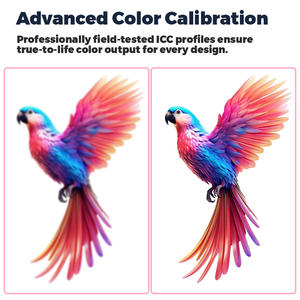 Haolic <span class=keywords><strong>เครื่อง</strong></span>พิมพ์ดุ่นใหม่เครื่องพิมพ์ DTF XP600 A3 13นิ้วสำหรับเสื้อยืดและหมวกขนาดเล็กแบบพิมพ์แบบออลอินวันด้วยการตัด - Product Image 6