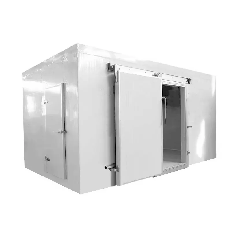 Hoch effiziente kunden spezifische Größe Pu Panel Industrieller Kühlraum behälter/Gewerblicher Kühlraum/begehbarer Gefrier raum