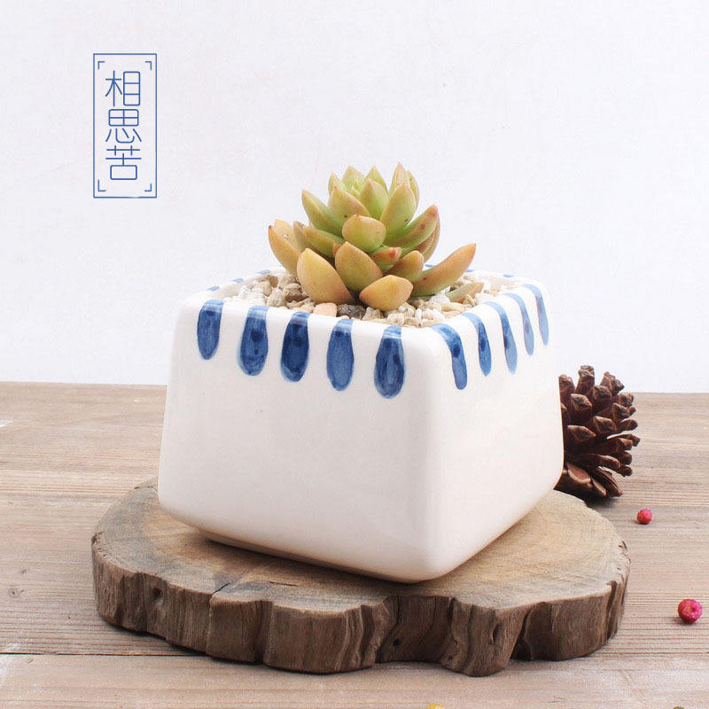 Couleur blanche comme le montre la photo-1