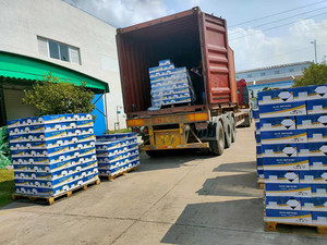 Nhà Máy Ô Tô Sửa Chữa Sơn Acrylic Rắn Màu Xe Refinish Sơn 1K 2K Xe Sơn - Product Image 5