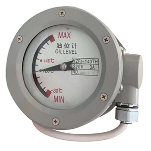 Stainless Steel Needle Type Oil Level Gauge - IP65 Waterproof for <b>Transformer</b> Maintenance - Product Image 2