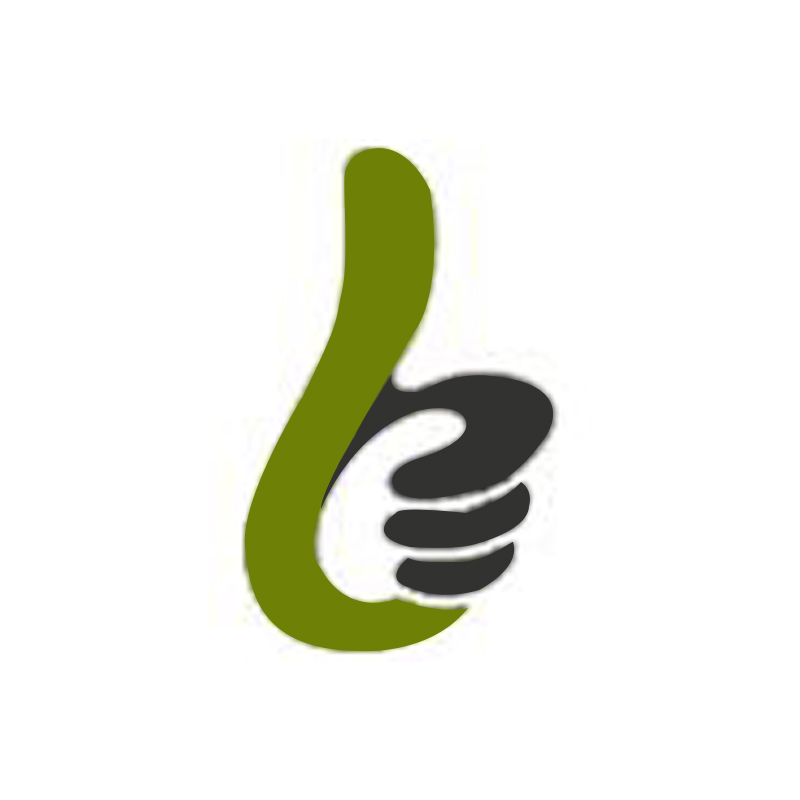 Shanghai Long Nice International Trading Co., Ltd. logo