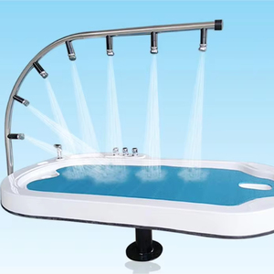 Equipo de Spa Profesional de Buena Calidad con Ducha Vicky y Cama de Masaje Reforzada con Fibra de Vidrio - Product Image 1