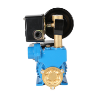 Pompa Diafragma Industri Otomotif Tekanan Tinggi Desain Baru WZ 0.01hp Motor DC/BLDC Pompa Air Stainless Steel