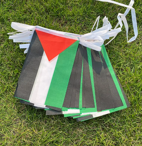Promoción personalizada 14*21 cm bandera decorativa interior y exterior personalizada banderines palestinos Palestina cadena bandera - Product Image 4