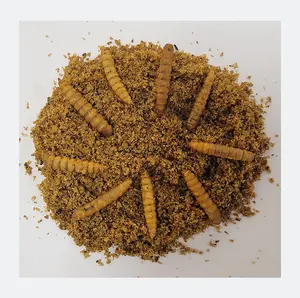 Factory Supply Dried Black Soldier Fly Larvae Powder Dried Calcium Worms Powder Dried Worm Powder For Sale