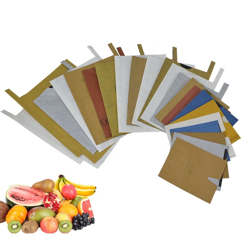 Guayaba crema apple Chirimoya de protección creciente bolsa de papel