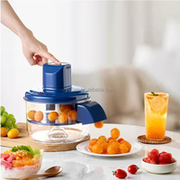 Volledig automatische elektrische fruitenschiller, huishoudelijke schilmachine voor druiven, rozijnen, knoflook en kerstomaatjes