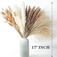 Rangkaian Bunga Kering Plastik Daun Pampas Beige Tahan Air Gaya Bohemian untuk Paskah, Halloween, Pernikahan, Natal, Thanksgiving, Dekorasi Rumah