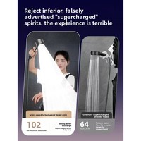 Robinet de douche haute pression à économie d'eau de haute qualité, filtre de pomme de douche plaqué, accessoires de salle de bain pour cuisine, salle de sport, toilettes