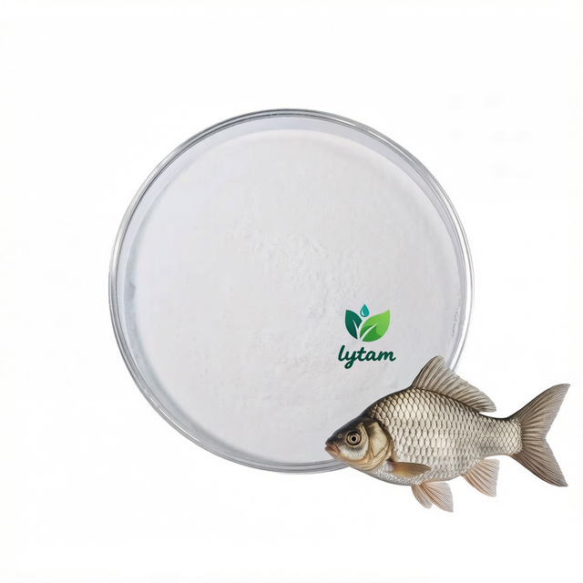 Bulk Price Hydrolyzed Fish Marine Collagen Peptide Powder Cosmetic Grade >99% Protein Antioxidant