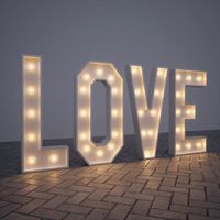 Lettres lumineuses en fer galvanisé 3FT/4FT/5FT, enseigne LED avec options multicolores, installation facile