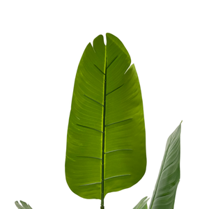 ต้นปาล์มเทียมแบบสมจริงพิเศษสำหรับนักเดินทาง กิ่งไม้จริงเคลือบปรับแต่งได้ ใบไม้ทำจากผ้าไหม ทนทานต่อรังสียูวี - Product Image 5