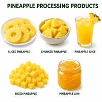 Ananas snijlijn fabrieksprijzen verse ananas snijmachine ananas snijder 1-50T/H PLC gestuurd