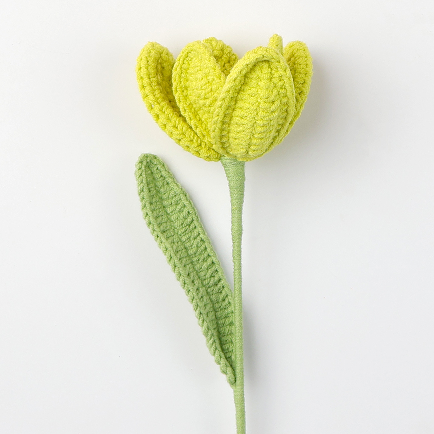 Snow five open tulip branch - green