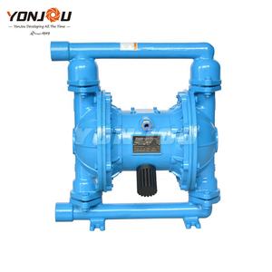 Repuestos para Bomba de Diafragma QBK Serie 25 40 - Product Image 3