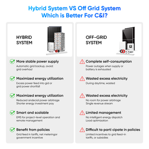 Sistema Solar Híbrido Integrado Sunevo de 100kw 125kw 500kw Comercial e Industrial con Batería de Litio de Alto Voltaje, Kit Completo - Product Image 2