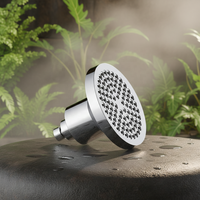 Pommeau de douche moderne de 6 pouces en ABS chromé à jet de pluie pour salle de bain, élimination du chlore, beauté pour la peau